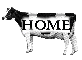 Cow Home