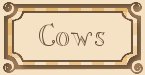 Cow Pasture